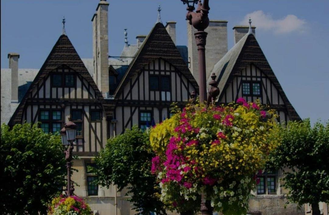 La Place Des Sacres, Proche Gare Et Centre Reims Kültér fotó